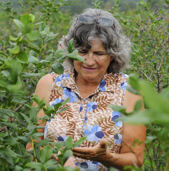 Produce farming: Sweet results from hard work